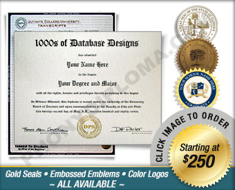 Fake College or University Diploma and Transcripts Home 11